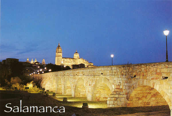 N 163 - Salamanca. Puente Romano y Catedral Nocturna - Ed. Arribas - Dim.15x13,3 cm - Col. Mrio Silva