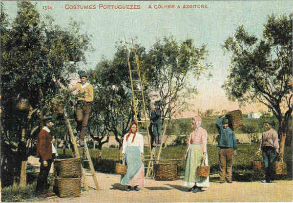 Postal 25 - 1906 Coleco Selos e Postais de Portugal. Trs sculos de Histria Dim. 14x9,7cm. Col. Carlos Alberto Silva Sousa