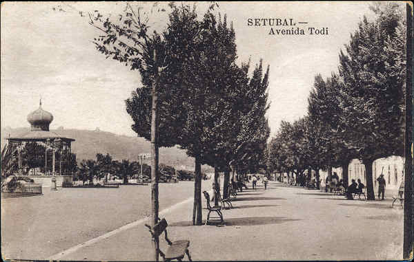 SN - SETUBAL. Avenida Todi - Edio Alberto Malva, Lisboa - Dim. 13,8x8,7 cm - Col. A. Monge da Silva (c. 1925)