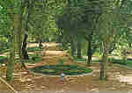 N 9 - Soure. Parque - Ed. Papelaria Armindo - Foto F. Rocha (1983) - Dim. 10,5x15 cm. - Col. Silva Rocha