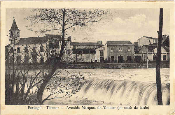N 34 - Portugal-Thomar  Avenida Marquez de Thomar (ao cahir da tarde) - Edio da Loja do Barateiro - SD -  Dim. 9x14 cm - Col. Jaime da Silva (Circulado em 1928)