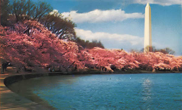SN - Washington Monument - Edio annima - Dim. 14x8,9 cm - Col. Amlcar Monge da Silva (c. 1970)
