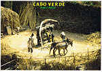 CV 19 - Santo Anto. Trapiche - Ed. Mindelo C.P.999 - CABO VERDE - www.caboverde-photo.com Reinhard Meyer - SD - Dim. 15x10,5 cm - Col. Manuel Bia (2011)