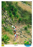 N 206 - Rui - Vaz - 01p Dia de lavar roupa - Ed. Informao Turstica - Lucete Fortes - Mindelo - Cabo Verde - tel +238 2324267 www.bela-vista.net Foto: Dr. Pitt Reitmaier - SD - Dim. 10,5x14,8 cm - Col. Manuel Bia (2011)
