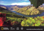 SN - Douro Valley, Portugal - Concurso de Fotografia do Douro 2010 - Snia Arrepia - Ed. Postalfree - Dim. 148x105 mm - Col. nio Semedo