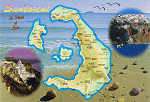 N. 1499 - SANTORINI - Uma Ilha de Lava - Ed. KARELA - 194 00 KOROPI - ATHENS - P.O.BOX 209 - TEL.: 210 6028933, FAX: 210 6640205 PRINTED IN GREECE - M. TOUBIS S.A. TEL. 210 6645548 - SD - Dim. 15,9x10,9 cm - Col. Ftima Bia (2007)