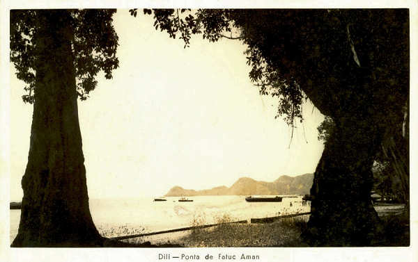 S/N - Dili: Ponta de Fatuc Aman - Sem editor - S/D - Dimenses: 13,6x8,7 cm. - Postal de J. J. Simes Rocha (1967).