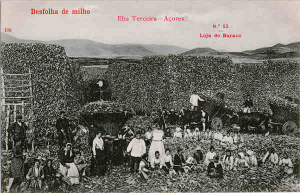 N 52 - Desfolha do Milho - Edio da Loja do Buraco - Dim. 138x88 mm - Col. A. Monge da Silva (anterior a 1910)