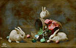 Serie 60946-5 - 3 coelhos num cesto florido - Editor Amag - Dim. 135x85 mm - Carimbo 02MAR1915 - Col A Monge da Silva