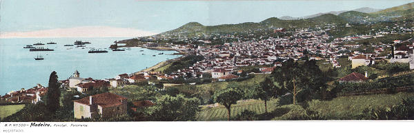 N 500 - Funchal, Panorama (1) - Editor B.P. - Dim. 282x92 mm - Col. A. Monge da Silva (c. 1910)