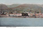 SN - Funchal, Vista parcial - Editor M.P.O. - Dim. 140x93 mm - Col. A. Monge da Silva (c.1910)