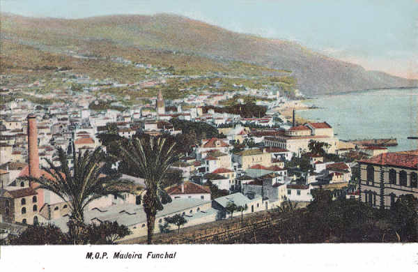 SN - Funchal, Panorama (2) - Editor M.P.O. - Dim. 140x91 mm - Col. A. Monge da Silva (c.1910)