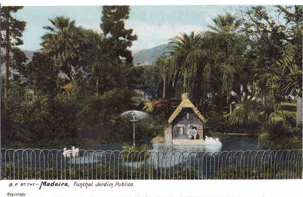 N 141 - Funchal, Jardim Pblico - Editor B.P. - Dim. 139x91 mm - Col. A. Monge da Silva (c.1907)