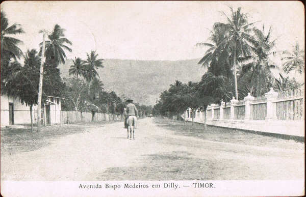 SN - Avenida Bispo Medeiros em Dlly, Timor - Edio ??? -  SD - Circulado em 1907 - Dim. ??x?? cm - Col. Monge da Silva