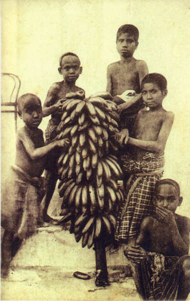 SN - Timor - Cacho de bananas - Edio da Misso - SD - Dim. ??x?? cm - Col. Monge da Silva (Cerca de 1927)