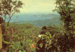 SN - Dili, Vista do Seminrio de Dare - Foto Castro Silva - Edio do CTI-Timor - SD - Dim. 148x101 mm - Col. A. Monge da Silva (cerca de 1965)