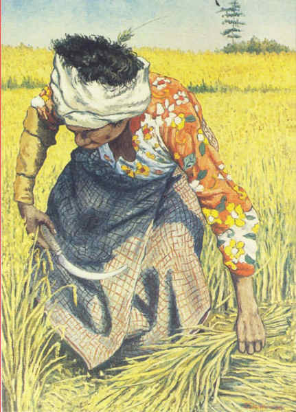 SN - Ceifando arroz. leo de Sebastio Silva - Edio C.M.Lisboa, 1997 - Dim. 147x104 mm - Col. A. Monge da Silva