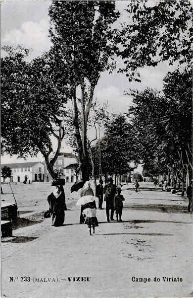 N 733 - Campo de Viriato - Editor Alberto Malva, Rua da Magdalena, 23, Lisboa - Dim. 138x89 mm - (papel fotogrfico) - Col. A. Monge da Silva