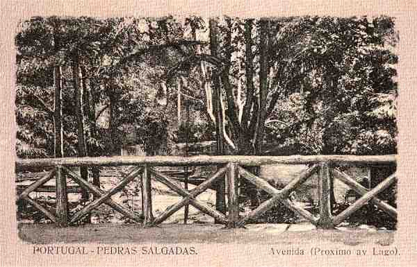 S/N - Pedras Salgadas - Avenida (Proxima av. Lago) - Sem indicao do editor - S/D - Dimenses: 13,6x8,7 cm. - Col. Aurlio Dinis Marta.