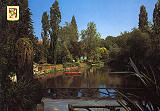 Ref N. 1223, AVEIRO Portugal, Jardim e Parque Infante D. Pedro, Lago. Ed. LIFER (Porto), SD, Dim. 148x103 mm, Xol. Nela d'Almeida.