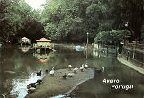 Ref 13 - AVEIRO Portugal, Lago do jardim, Distribuidores Bruno da Rocha, Aveiro, SD, Dim. 150x104 mm, Col. Nela d'Almeida.