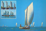 Srie 81/N. 21, Aveiro (Portugal), Regata de moliceiros (Festa da Ria), Ed. Comisso Municipal de Turismo de Aveiro, SD, Dim. 150x104 mm, col. Nela d'Almeida.