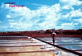 Ref 25 - AVEIRO Portugal, Transportando o sal, Distribuidores Bruno da Rocha, Aveiro, SD, Dim. 150x104 mm, Col. Nela d'Almeida,