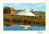 Ref 860 - AVEIRO PORTUGAL, Salinas, Ed. Centro de Caridade N Sr do Perptuo Socorro, SD, Dim. 150x104 mm, Col. Nela d'Almeida.