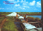 Ref 28 - AVEIRO Portugal, Salineiros na preparao do sal, Distribuidores Bruno da Rocha, Aveiro, SD, Dim. 150x102 mm, Col.Nela d'Almeida.
