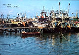 Ref 3180 - AVEIRO Portugal, Gafanhas, Ed. ncora, SD, dim. 150x102 mm, Col. Nela d'Almeida.