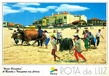 Ref 43, ROTA DA LUZ, Faina Piscatria (Onde?), A recolha e transporte das cordas, Regio de Turismo da Rota da Luz, Costa de Prata Aveiro, Portugal, Ed. Francisco Ms, Lda, SD, Dim. 150x105 mm, Col. Nela d'Almeida 