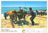 Ref 37, ROTA DA LUZ, Faina Piscatria (ONDE?), O Alar da Rede por Junta de Bois, Regio de Turismo da Rota da Luz, Costa de Prata Aveiro, Portugal, Ed. Francisco Ms, Lda, SD, Dim. 150x105 mm, Col. Nela d'Almeida 