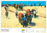 Ref 38, ROTA DA LUZ, (Faina Piscatria), O Alar das Redes, (Localidade???), Regio de Turismo da Rota da Luz, Costa de Prata, Aveiro, Portugal, Ed. Francisco Ms Lda, Amadora, tel. (01)4961155, SD, Dim. 150x105 mm, Col. Nela d'Almeida.