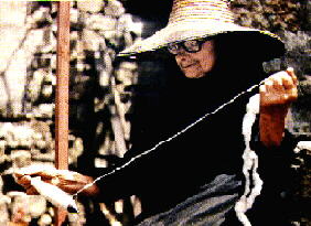 014.jpg (19652 bytes)