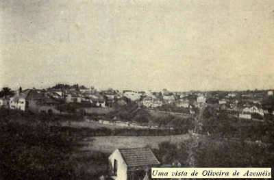 Uma vista de Oliveira de Azemis