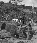 Cozinheiro Sousa em 15 de Novembro de 1971 no Quixico.