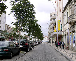 Aspecto da avenida Dr. Loureno Peixinho - 2008