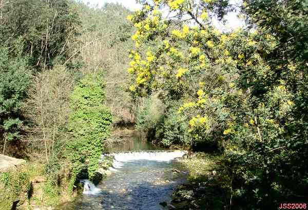 Fotografia de Jos Santos Silva, gueda 2007.