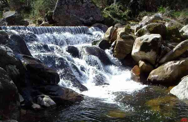 Fotografia de Jos Santos Silva, gueda 2007.