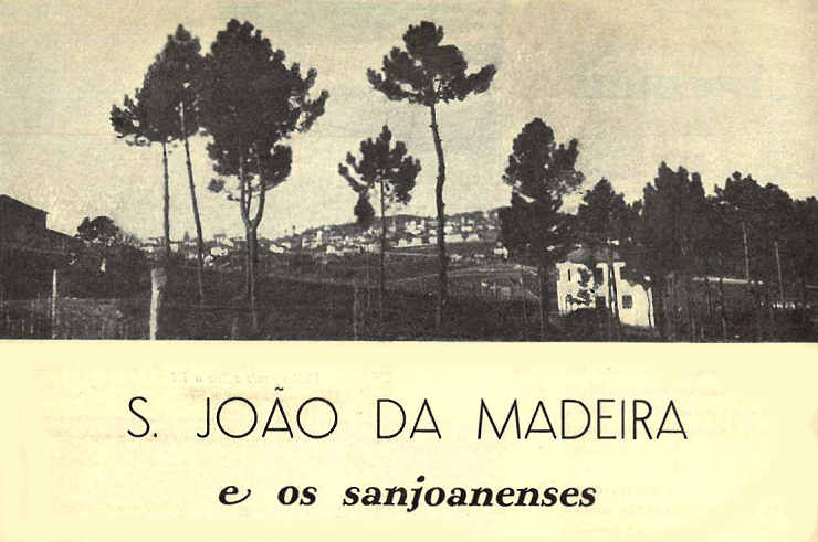 Vista de So Joo da Madeira