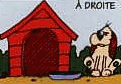 Le chien est � droite de la niche.
