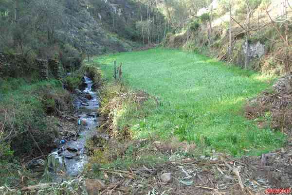 Fotografia de Jos Santos Silva, gueda 2006.