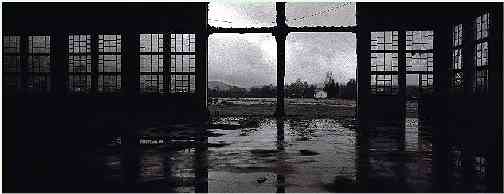 Catedral do silncio - Cathedral of Silence | Fotografia PB, colada em alumnio - B/W Photography, glued on aluminium | 200x75 cm. 2004