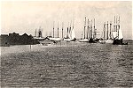 Frota bacalhoeira. Aveiro, Janeiro de 1922.