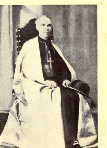 D. Manuel Trindade Salgueiro, Bispo de Helenpolis.