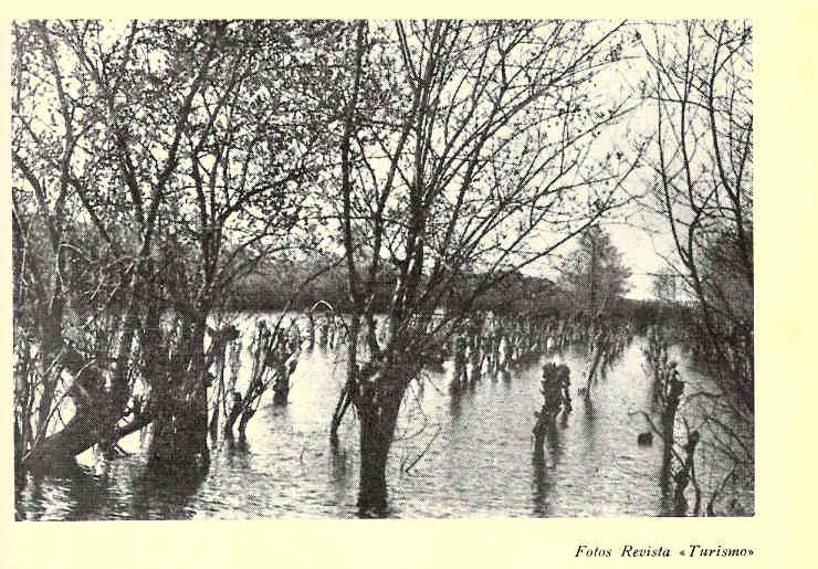 Aspectos da Pateira de Fermentelos, na regio de gueda.