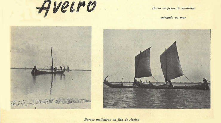 Barcos moliceiros na Ria de Aveiro