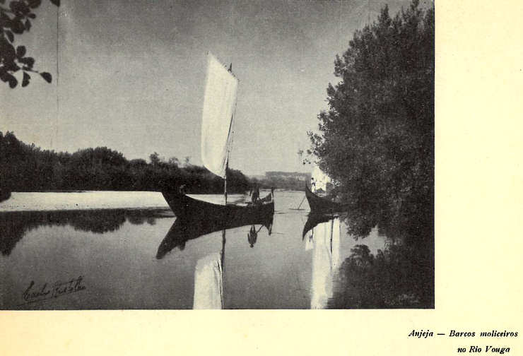 Angeja. Barcos moliceiros no rio Vouga.