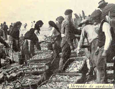 Mercado de sardinha