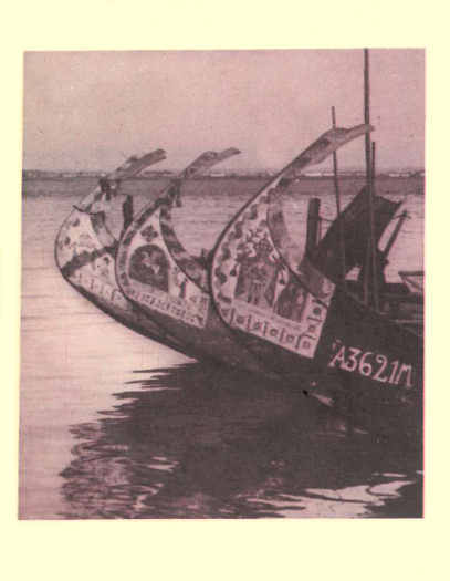 Barcos moliceiros